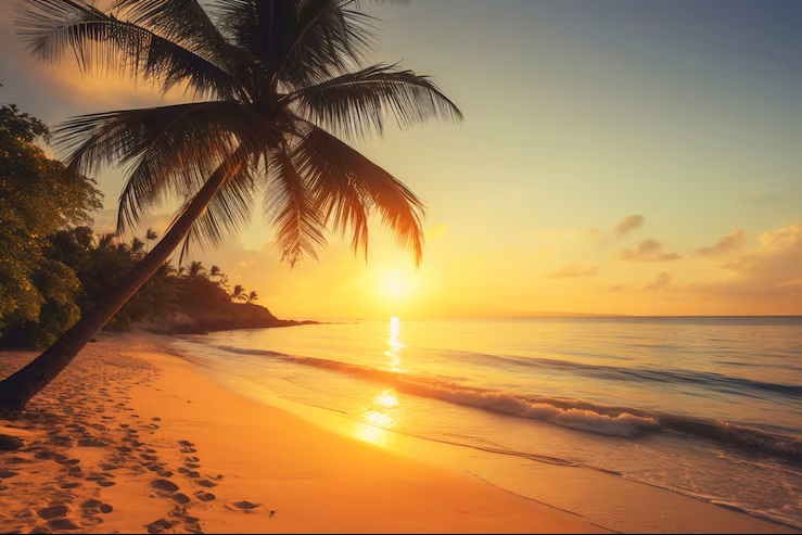 تدابیر فصل تابستان